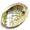 Abalone Shell - SAGE ON SUNDAYS
